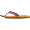Summit Gold/Purple Cactus Flower