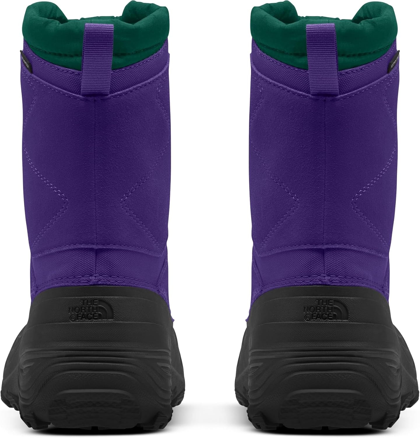 imageThe North Face Teen Alpenglow V Waterproof Boot Insulating Thermafelt Liner for Warmth at 25FPeak PurpleEvergreen