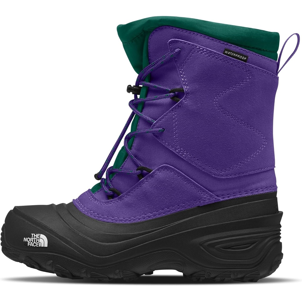 imageThe North Face Teen Alpenglow V Waterproof Boot Insulating Thermafelt Liner for Warmth at 25FPeak PurpleEvergreen