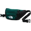 Pacific Teal/TNF Black