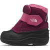 Boysenberry/Tnf Black