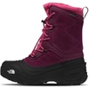 Boysenberry/Tnf Black