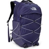 Eternal Purple/Blue Flax