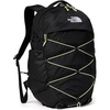 Tnf Black/Astro Lime