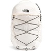 Gardenia White/Tnf Black-npf