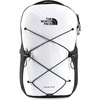 Tnf White/Tnf Black