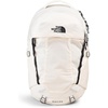 Gardenia White/Tnf Black-npf