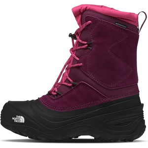 The North Face Teen Alpenglow V Waterproof Boot Insulating Thermafelt Liner for Warmth at -25F(Boysenberry/Tnf Black)
