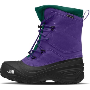 The North Face Teen Alpenglow V Waterproof Boot Insulating Thermafelt Liner for Warmth at -25F(Peak Purple/Evergreen)