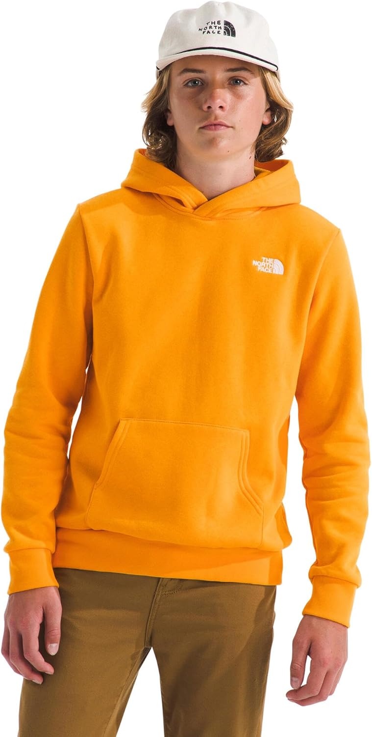 image:imageTHE NORTH FACE Kids Evolution Emb Pullover Hoodie Sweatshirt for Boys amp Girls With 2 Piece Hood Kangaroo PocketSummit Gold