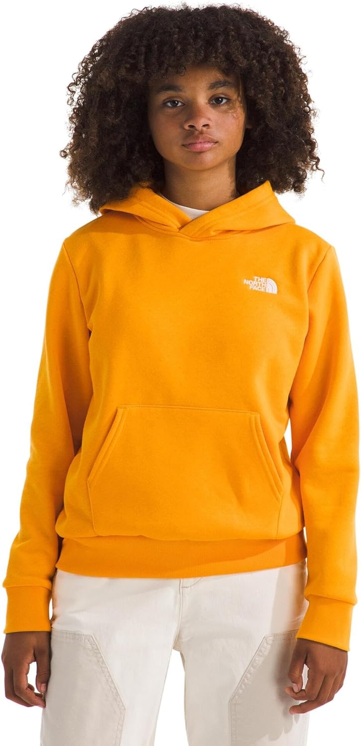 image:imageTHE NORTH FACE Kids Evolution Emb Pullover Hoodie Sweatshirt for Boys amp Girls With 2 Piece Hood Kangaroo PocketSummit Gold