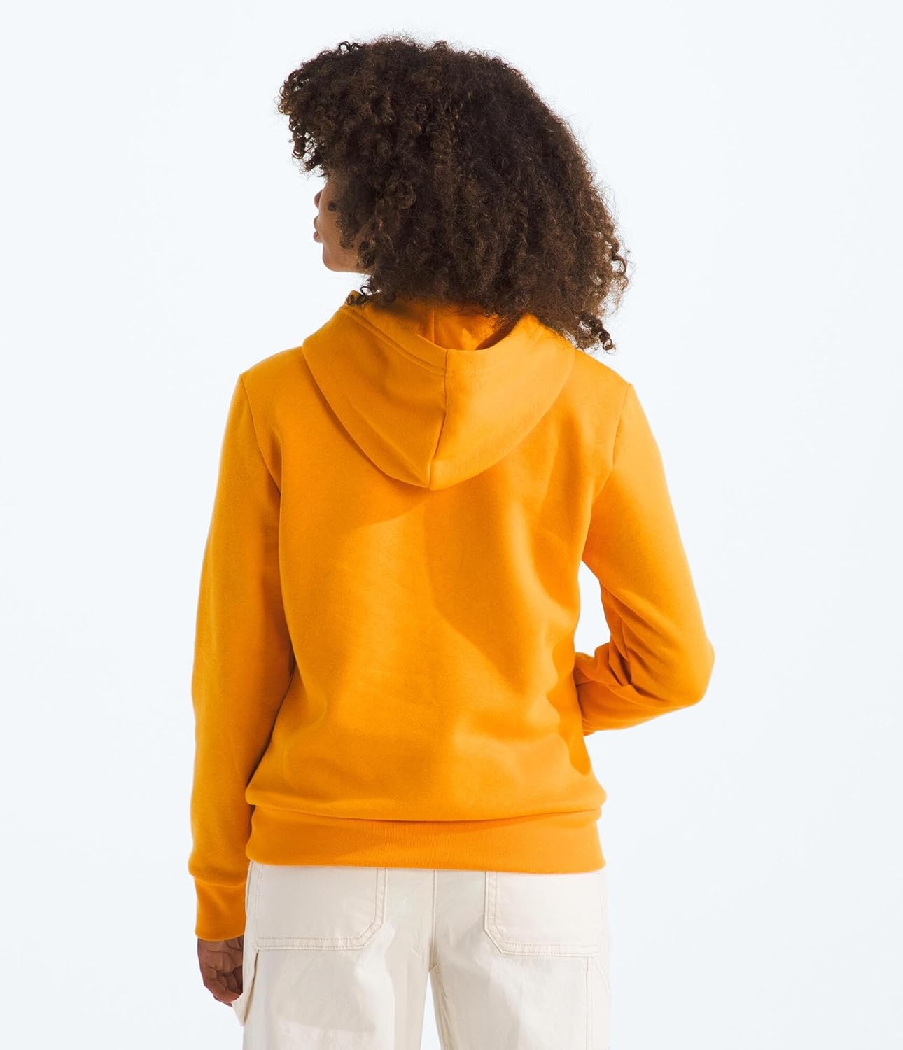 image:imageTHE NORTH FACE Kids Evolution Emb Pullover Hoodie Sweatshirt for Boys amp Girls With 2 Piece Hood Kangaroo PocketSummit Gold