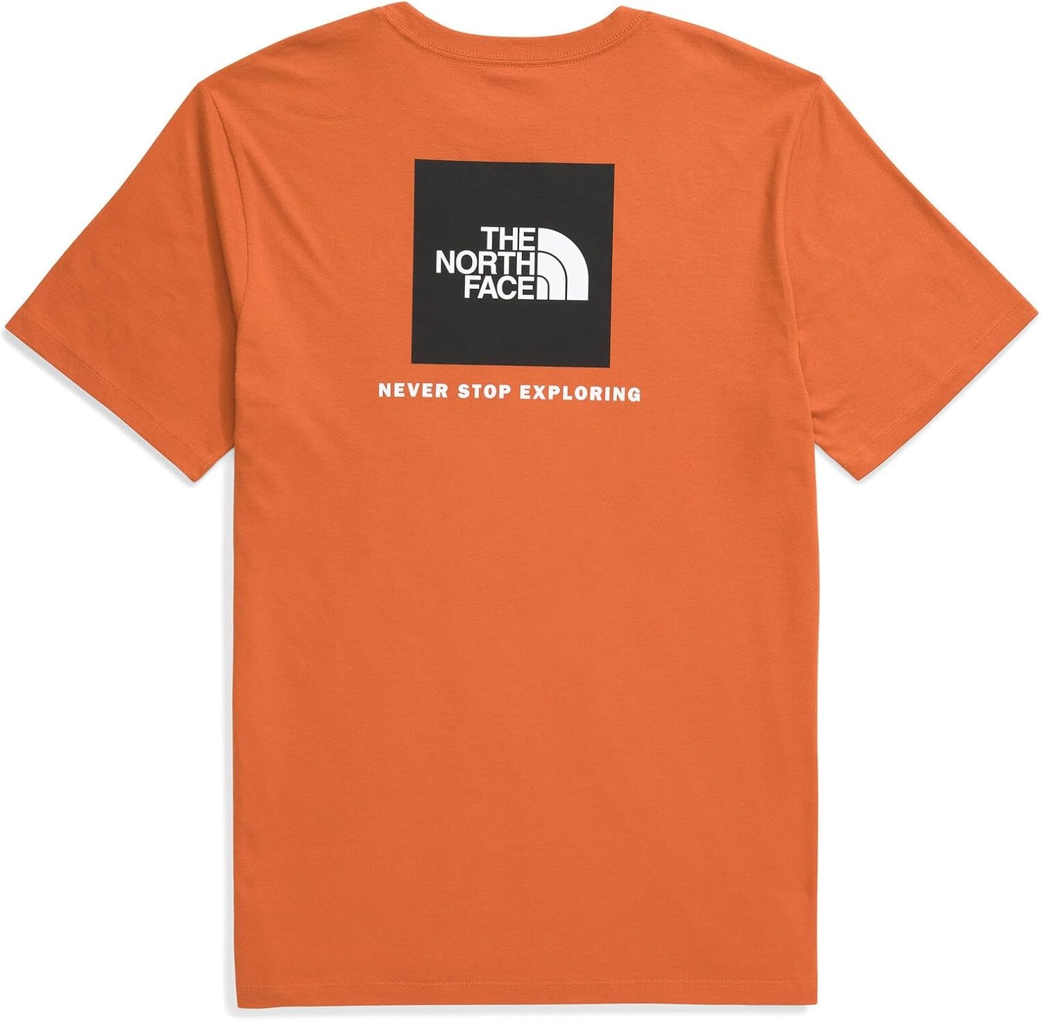 image:imageTHE NORTH FACE Mens Core Box NSE Short Sleeve Tee Branded Tshirt With a Ribbed CollarIron Bronze