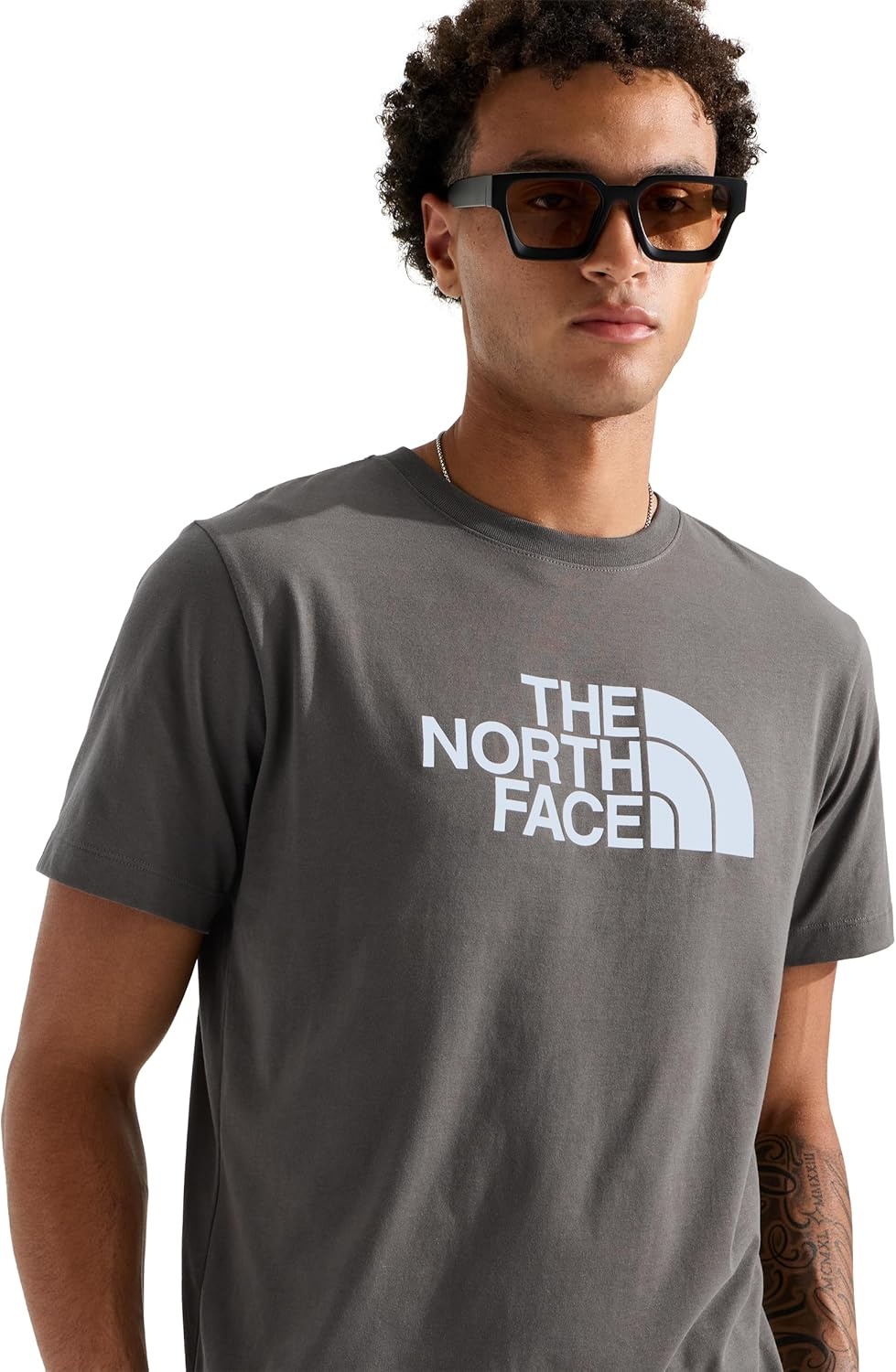 image:imageTHE NORTH FACE Mens Core Half Dome Shortsleeve Tee Regular Fit Cotton Shirt With Graphic Design amp Ribbed CollarNew Taupe Green