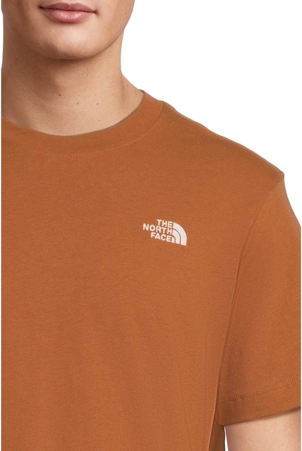 image:imageTHE NORTH FACE Mens Evolution Simple Dome Shortsleeve Tee Standard amp Big Size Cotton Shirt With the Classic LogoBurnt Umber