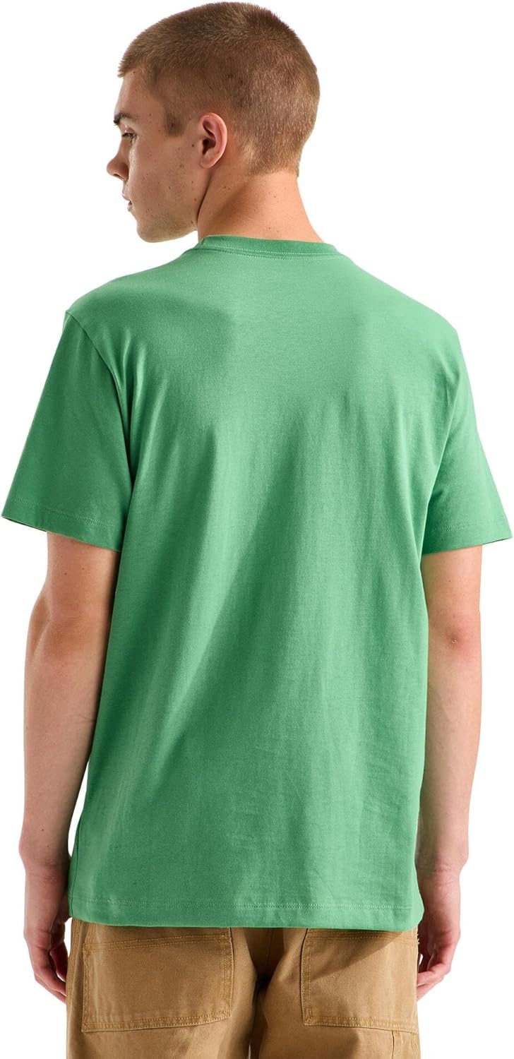 image:imageTHE NORTH FACE Mens Evolution Simple Dome Shortsleeve Tee Standard amp Big Size Cotton Shirt With the Classic LogoDimmed Algae