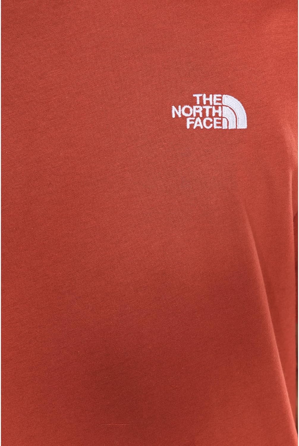 image:imageTHE NORTH FACE Mens Evolution Simple Dome Shortsleeve Tee Standard amp Big Size Cotton Shirt With the Classic LogoIron Clay