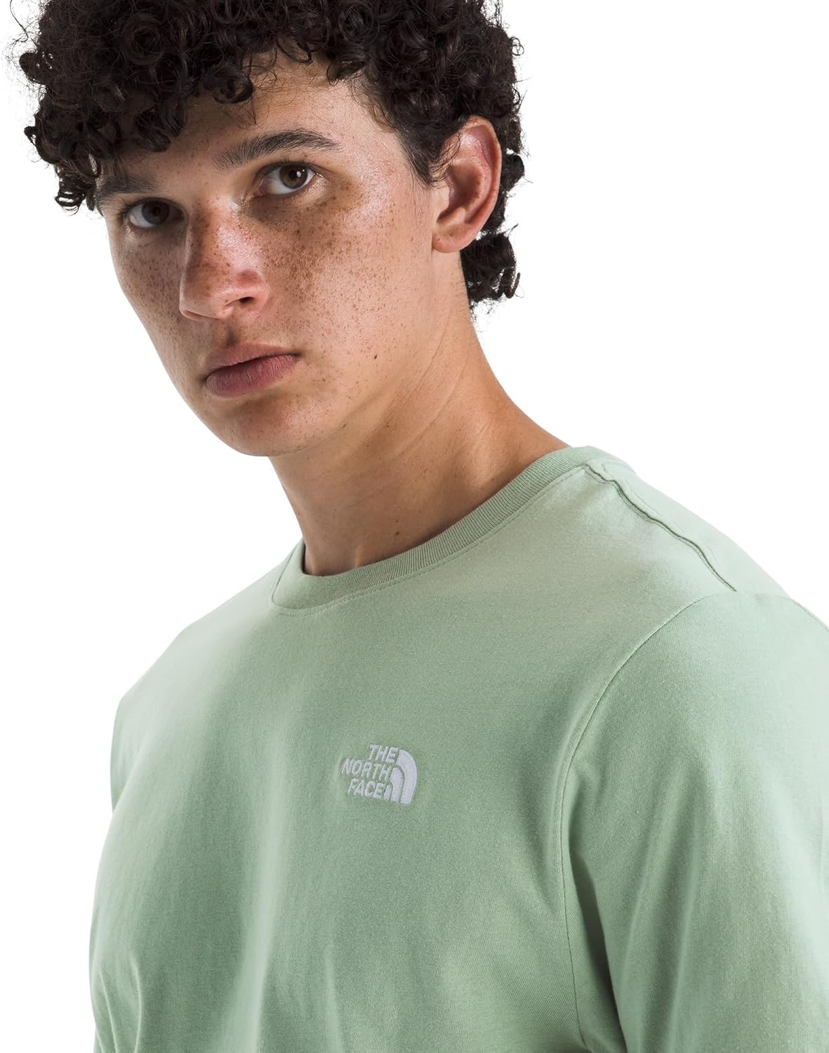 image:imageTHE NORTH FACE Mens Evolution Simple Dome Shortsleeve Tee Standard amp Big Size Cotton Shirt With the Classic LogoSlate Moss