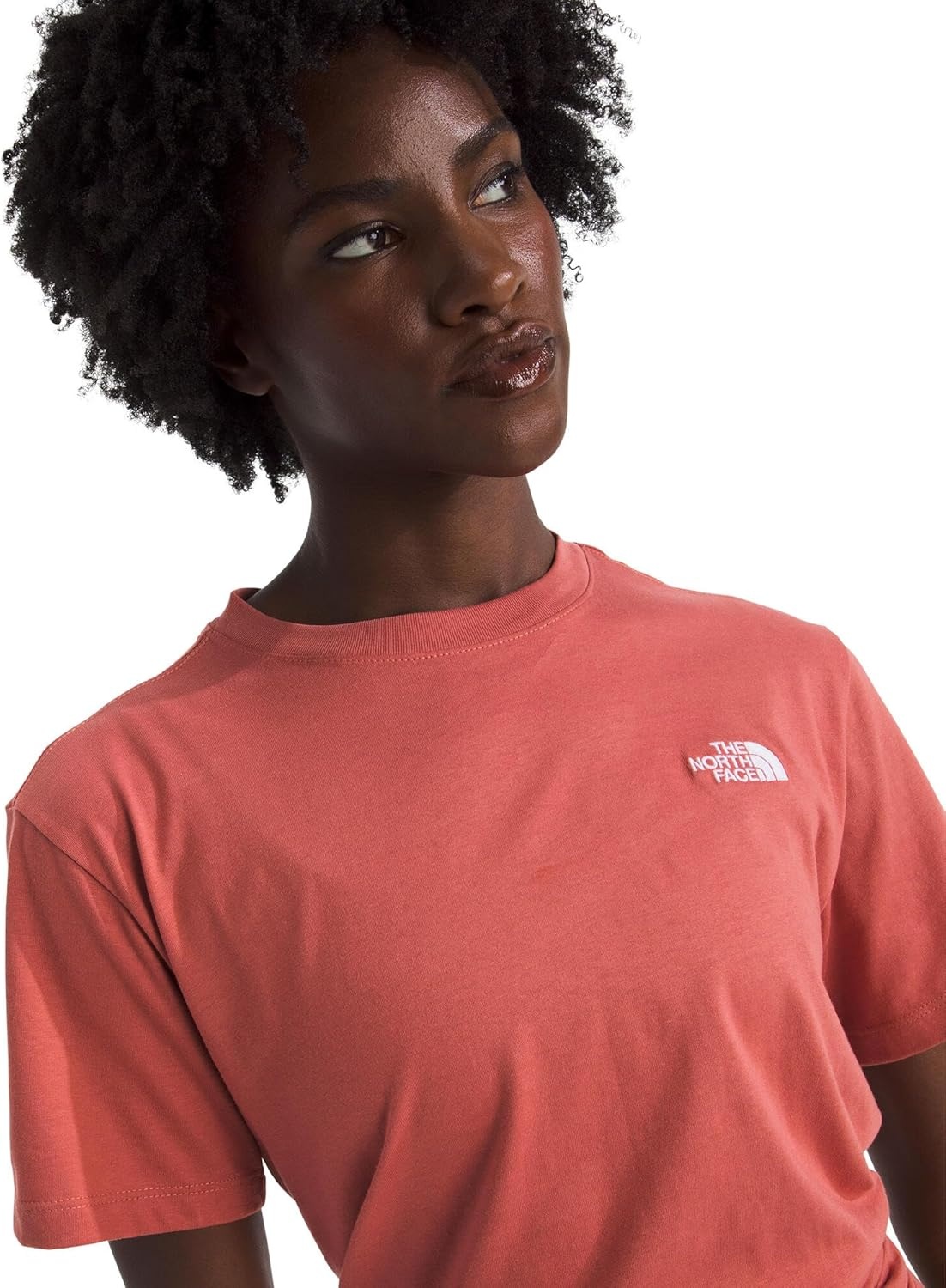 image:imageTHE NORTH FACE Womens Evolution Simple Dome Relaxed Shortsleeve Tee Cotton Tshirt With Classic Embroidered LogoMars Dust