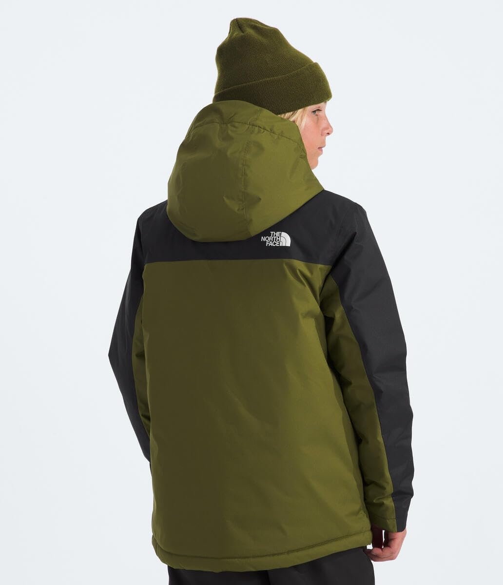 imageThe North Face Boys Freedom Insulated Jacket Winter Coat Water Repellent Helmet Compatible Hood amp Hand PocketsForest OliveTnf Black