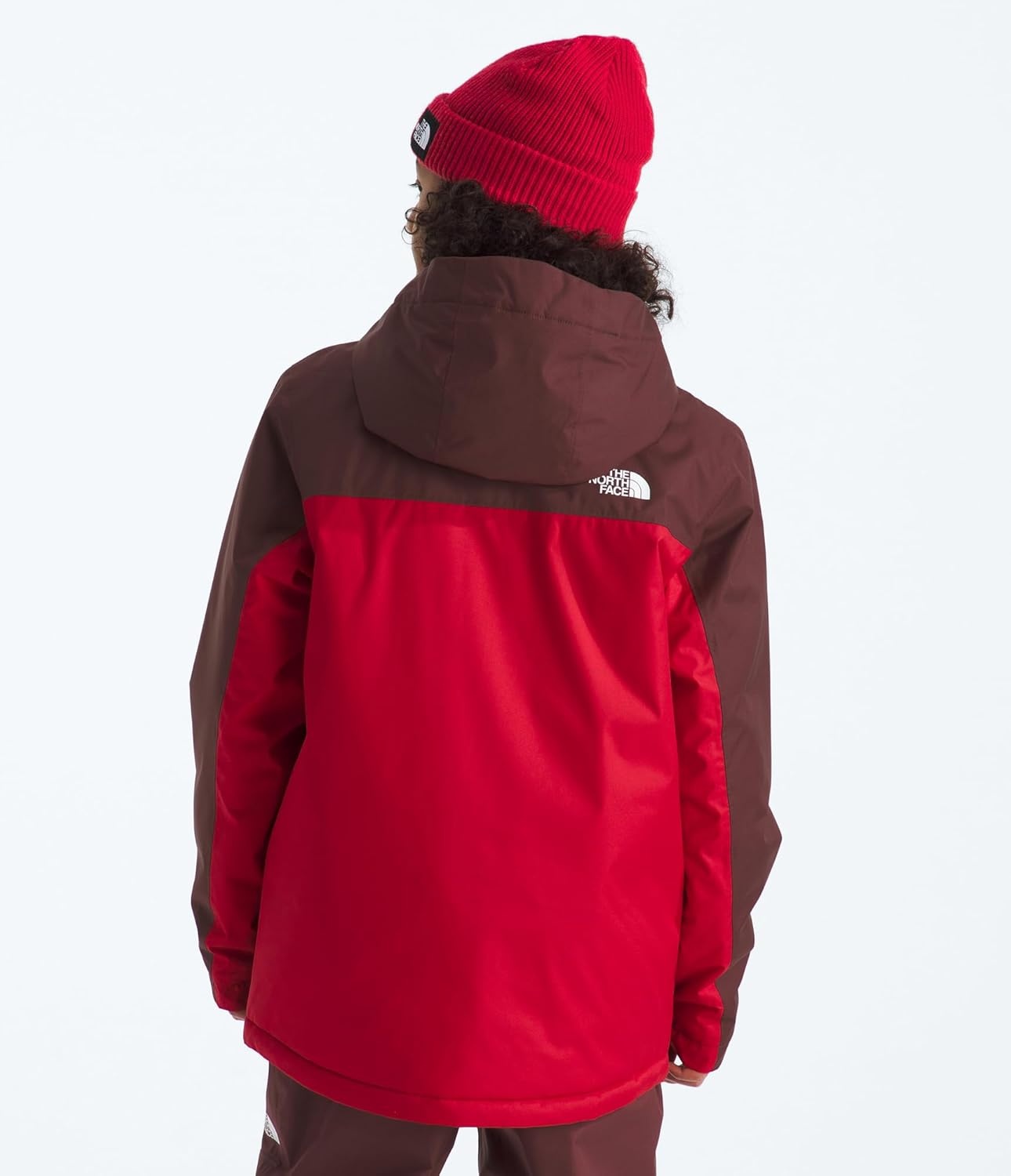 imageThe North Face Boys Freedom Insulated Jacket Winter Coat Water Repellent Helmet Compatible Hood amp Hand PocketsSumacTnf Red