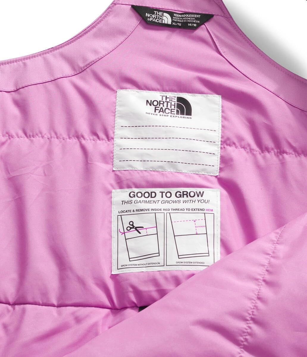 imageThe North Face Kids Freedom Insulated BibDragonfruit