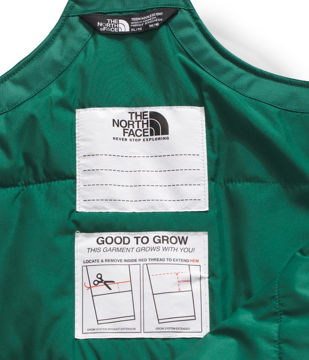 imageThe North Face Kids Freedom Insulated BibEvergreen