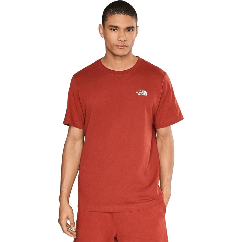 image:imageTHE NORTH FACE Mens Evolution Simple Dome Shortsleeve Tee Standard amp Big Size Cotton Shirt With the Classic LogoIron Clay