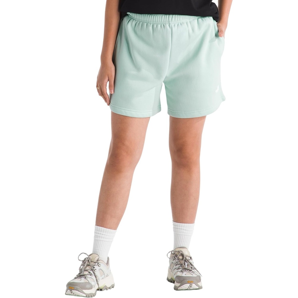 image:imageThe North Face Evolution Simple Dome Regular ShortsOpal Frost