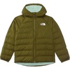 Forest Olive