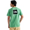 Dimmed Algae