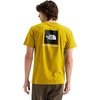 Pigment Yellow