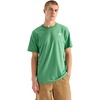 Dimmed Algae