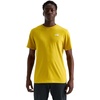 Pigment Yellow