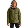 Forest Olive