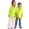 Fizz Lime