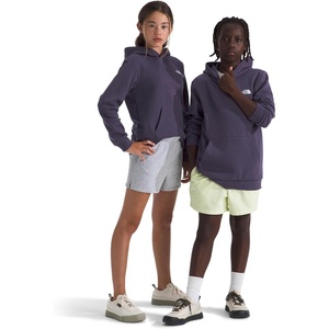 THE NORTH FACE Kids’ Evolution Emb Pullover Hoodie | Sweatshirt for Boys & Girls With 2 Piece Hood, Kangaroo Pocket(Endless Dusk)
