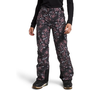 THE NORTH FACE Women’s Freedom Insulated Pant (Standard & Plus Size) | Waterproof for Snow Sports, Gaiters, Adjustable Waist(Fawn Grey Snake Charmer Print)
