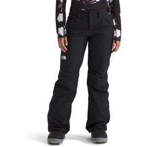 THE NORTH FACE Women’s Freedom Insulated Pant (Standard & Plus Size) | Waterproof for Snow Sports, Gaiters, Adjustable Waist(Tnf Black-npf)