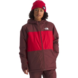 The North Face Boys Freedom Insulated Jacket | Winter Coat, Water Repellent, Helmet Compatible Hood & Hand Pockets(Sumac/Tnf Red)