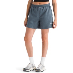 The North Face Evolution Simple Dome Regular Shorts(Granite Grey)