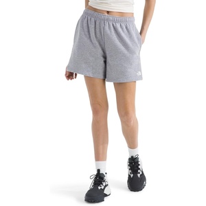 The North Face Evolution Simple Dome Regular Shorts(Tnf Pale Grey Heather)