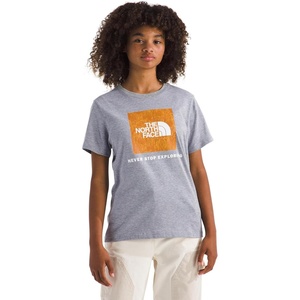 The North Face Kids’ Evolution Print Box Logo NSE Short-Sleeve Tee | Cotton Shirt for Boys & Girls with a Graphic(Tnf Pale Grey Heather/Summit Gold Regenerative Ink Print)