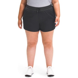 The North Face Limitless Run Shorts(Asphalt Grey)