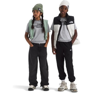 The North Face Unisex Adult Evolution Half Dome Short-Sleeve Tee – Classic Logo Graphic Tee for Boys & Girls, Soft Cotton Fabric