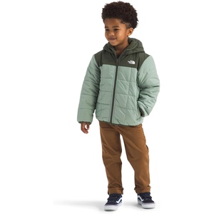 The North Face unisex-baby Reversible Shasta Full Zip Hooded Jacket(Slate Moss/New Taupe Green)
