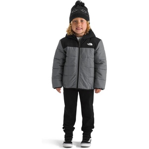 The North Face unisex-baby Reversible Shasta Full Zip Hooded Jacket(Smoked Pearl)
