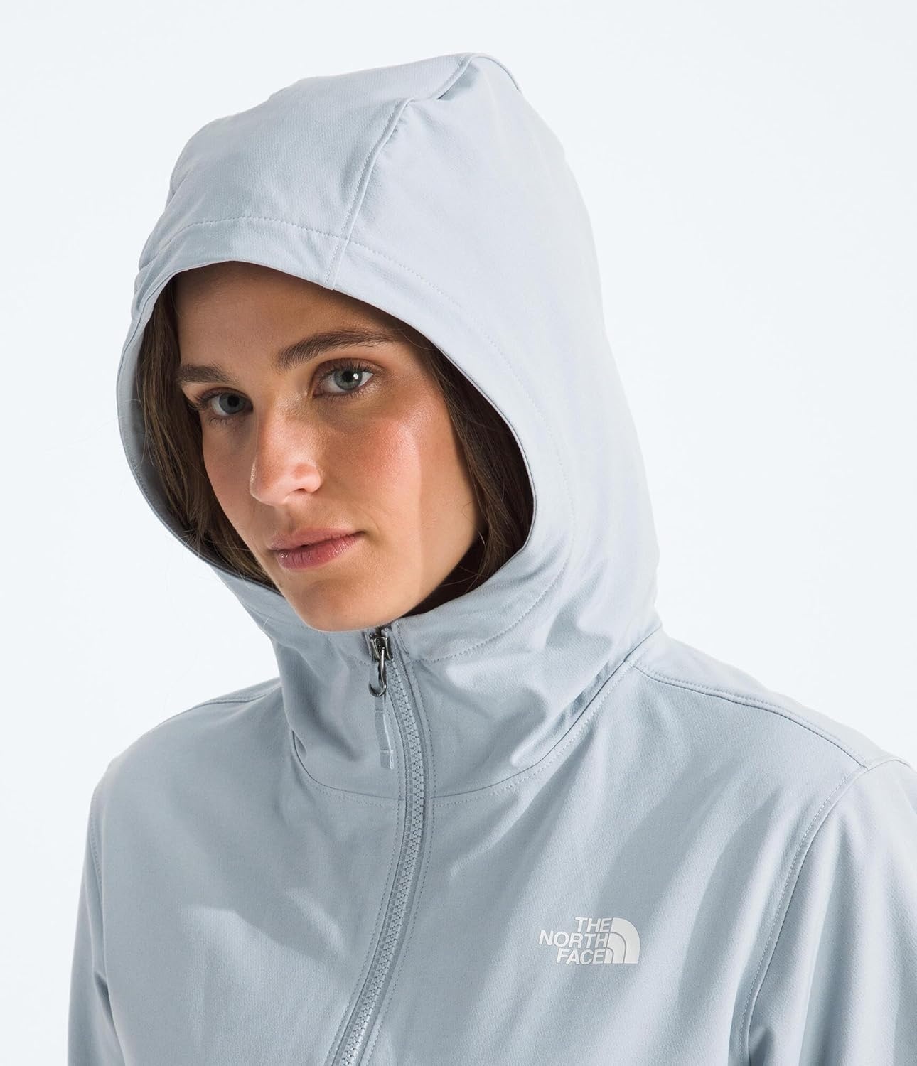 image:imageTHE NORTH FACE Womens Shelbe Raschel Fleece Hooded Jacket Standard amp Plus Size Fleece Lining Wind amp Water ResistantFrost Grey