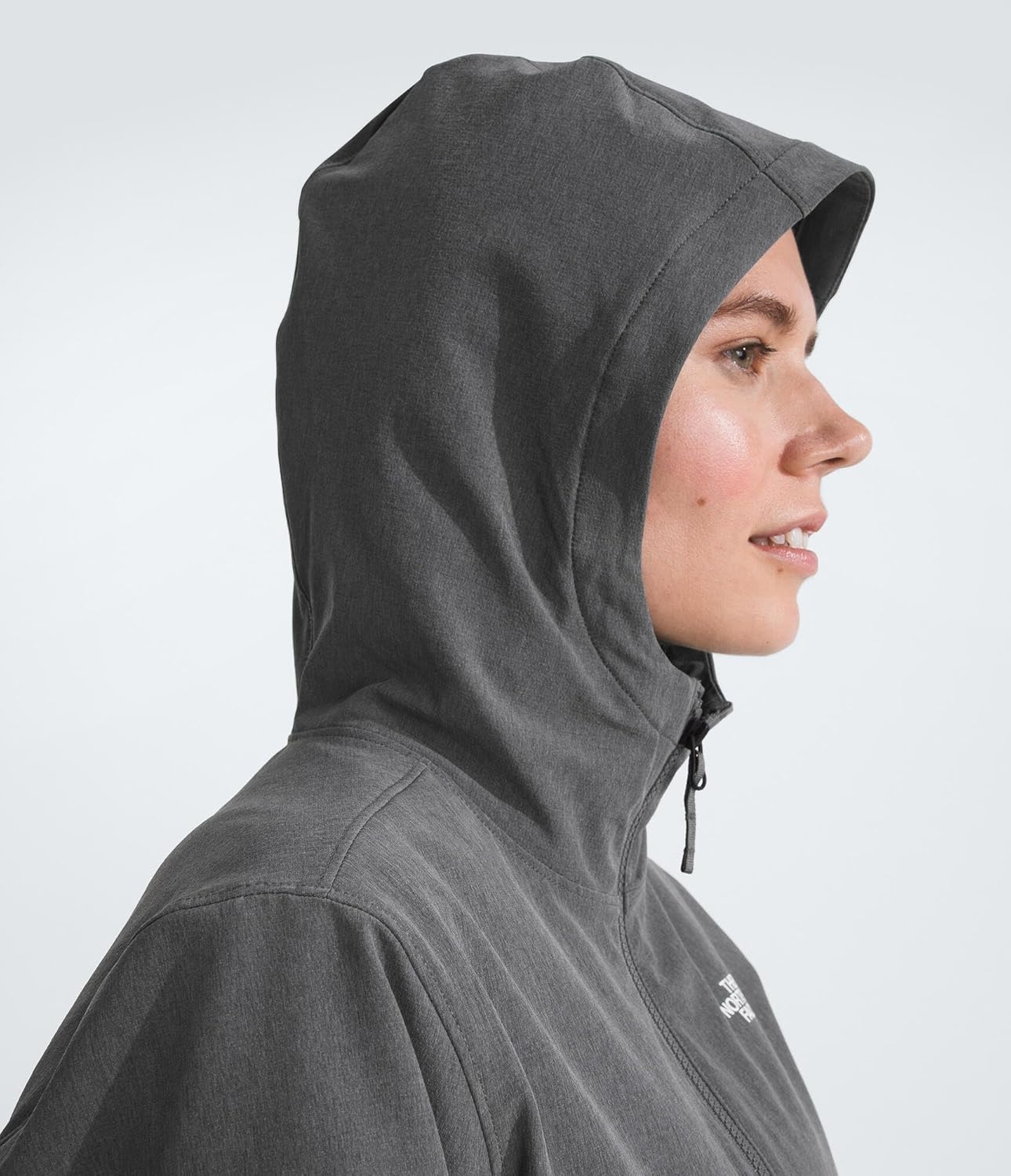 image:imageTHE NORTH FACE Womens Shelbe Raschel Fleece Hooded Jacket Standard amp Plus Size Fleece Lining Wind amp Water ResistantSmoked Pearl Heather