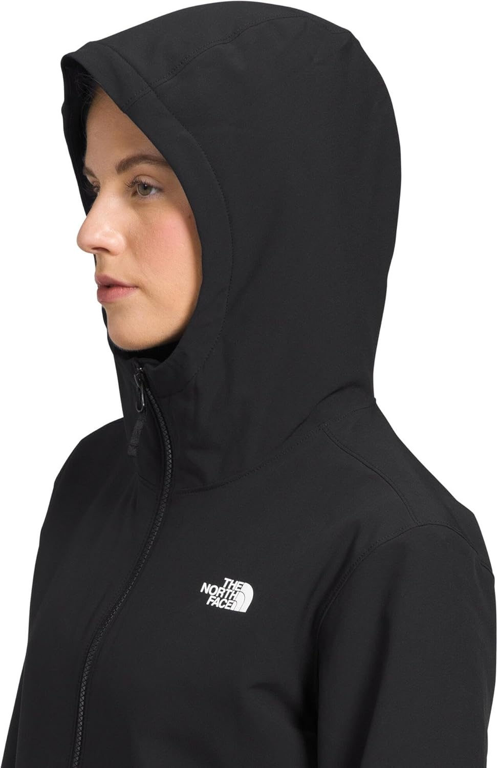 image:imageTHE NORTH FACE Womens Shelbe Raschel Fleece Hooded Jacket Standard amp Plus Size Fleece Lining Wind amp Water ResistantTnf Blacknpf